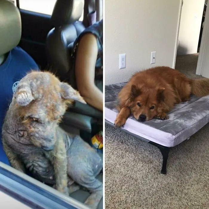 How It Started vs. How It’s Going