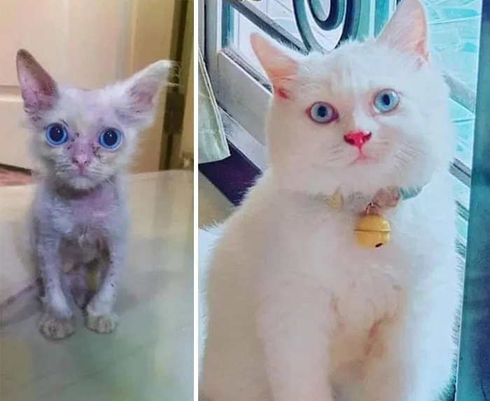 Before And After. What A Transformation!