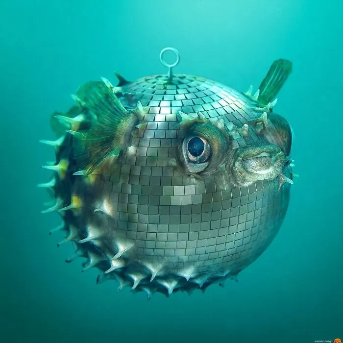Here Are 66 Surreal Photoshops That Combine Completely Different Objects