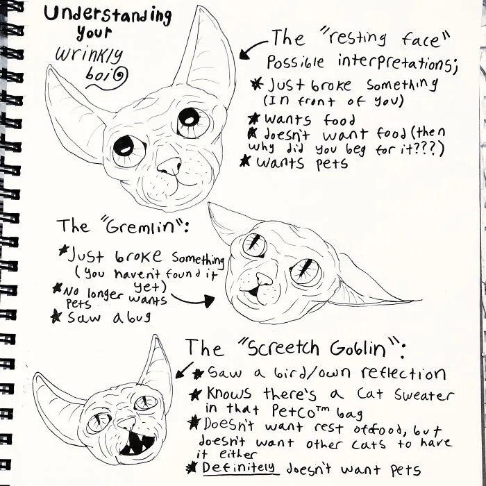 A Guide To Sphinxes