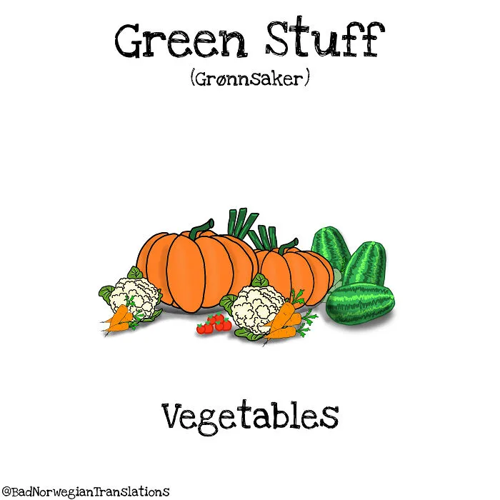 40 Brilliantly Literal Norwegian Words That Say Exactly What They Mean Illustrated By Me