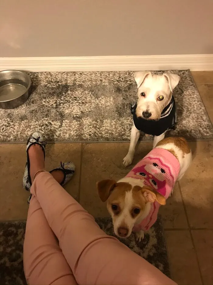 Not A Costume But Still An Outfit!