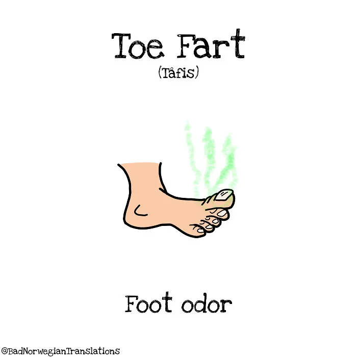 40 Brilliantly Literal Norwegian Words That Say Exactly What They Mean Illustrated By Me