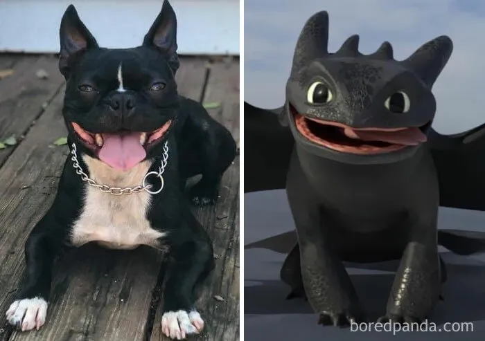 Toothless