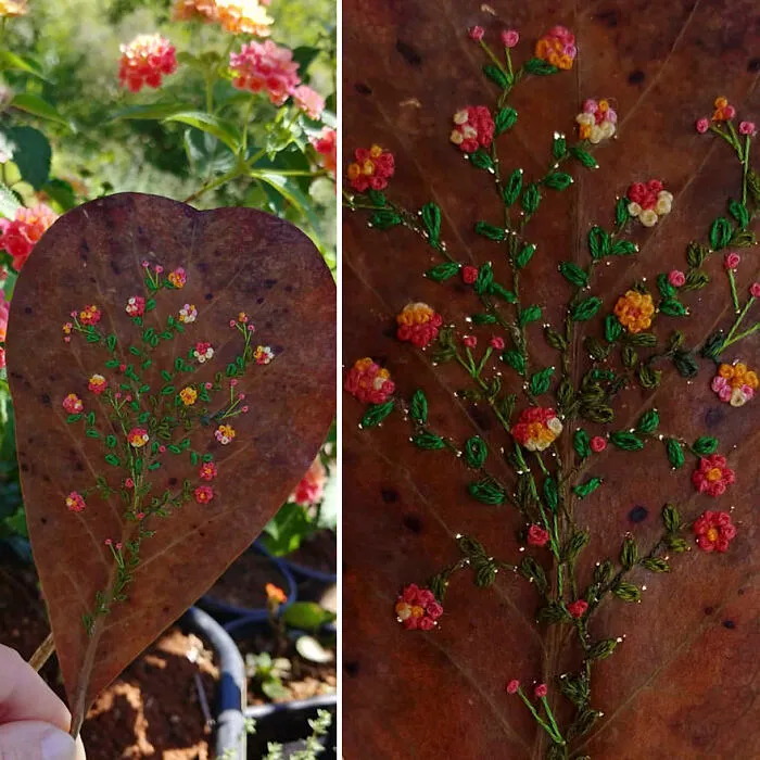 This Brazilian Artist Creates Unique Designs Of Embroidery On Fallen Leaves (109 Pics)