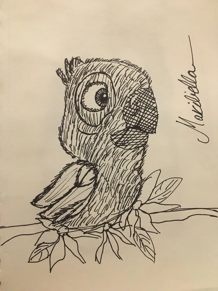 I Drew Dis Wit Ma Own Two Hands