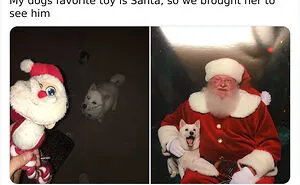 50 Of The Most Wholesome Christmas Posts That May Restore Your Faith In Humanity