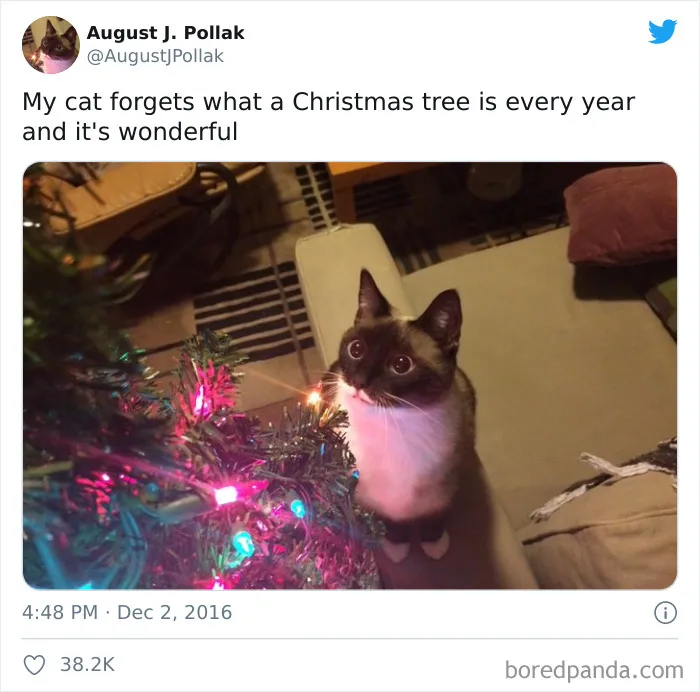 40 Hilarious Christmas Tweets