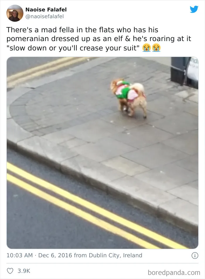 40 Hilarious Christmas Tweets