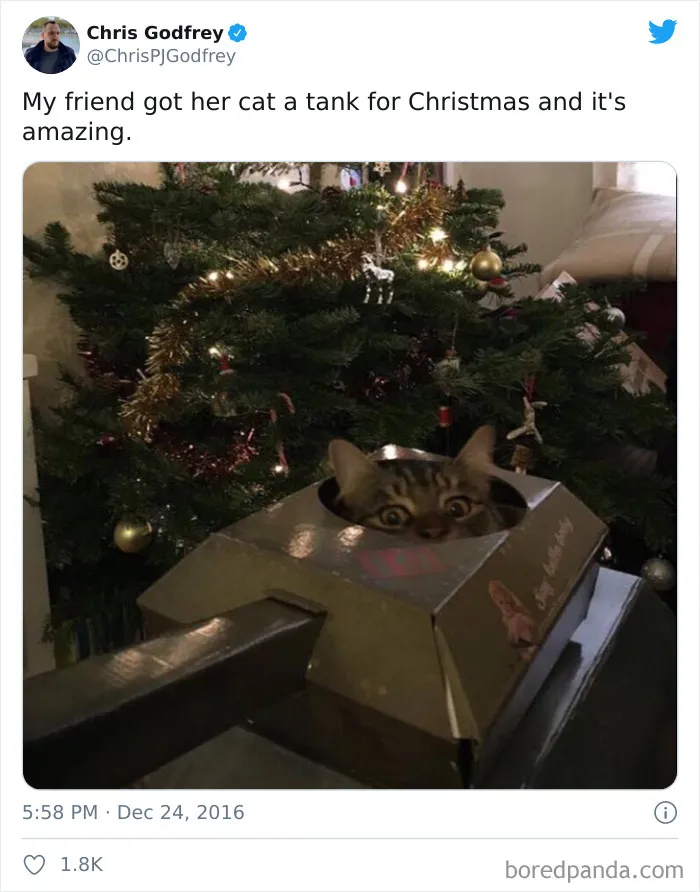 40 Hilarious Christmas Tweets