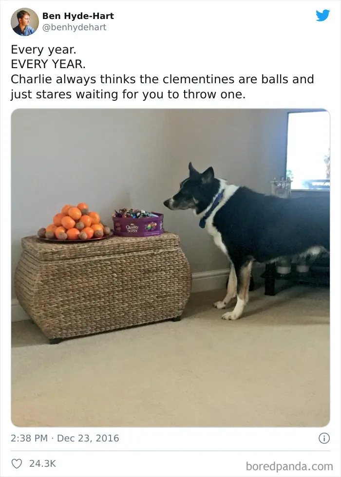 40 Hilarious Christmas Tweets