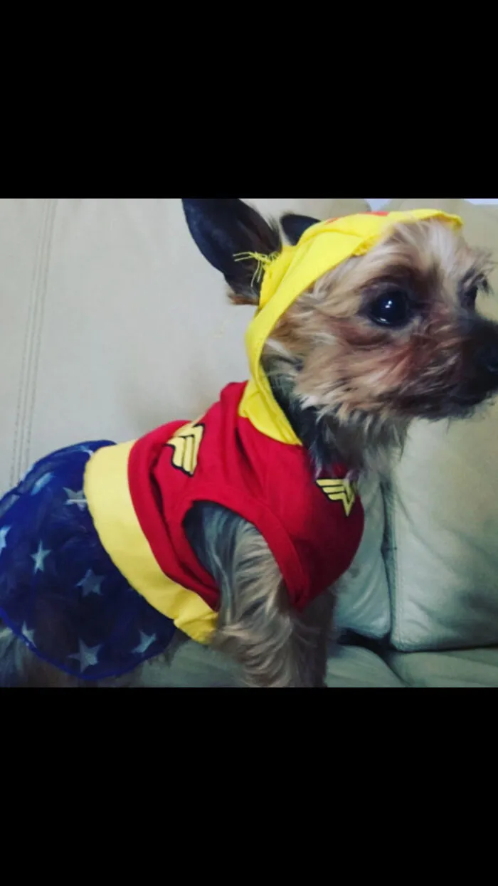 Wonder Jake