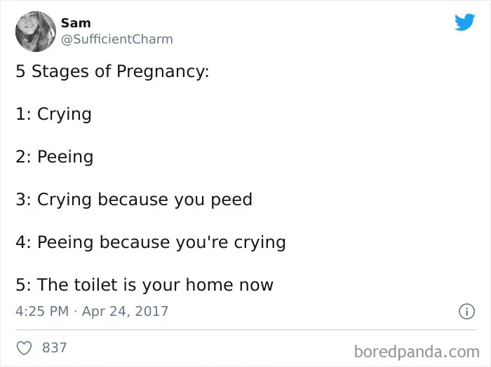 Stages Of Pregnancy