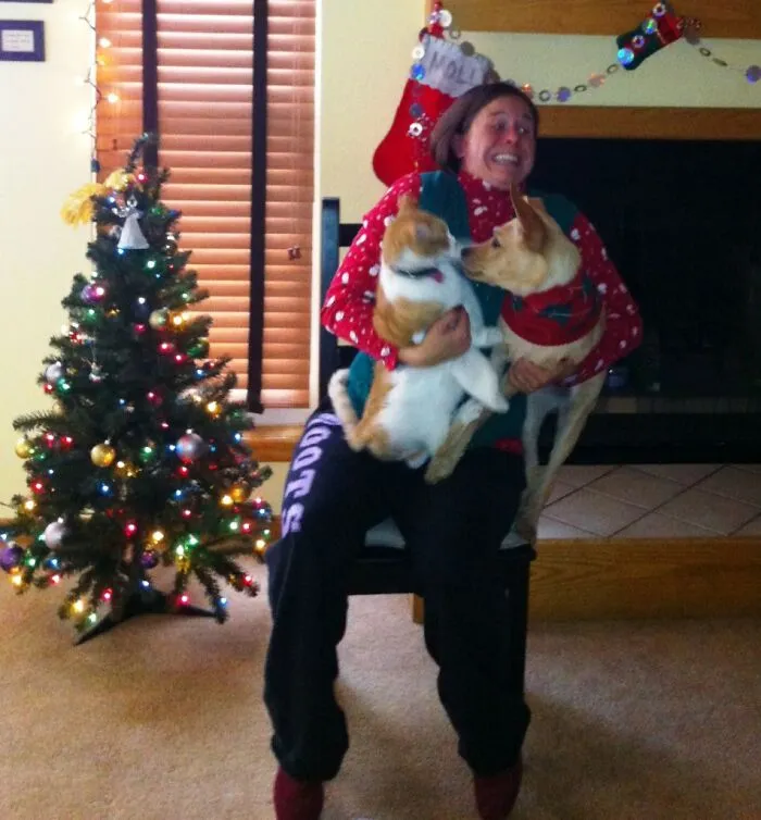 39 Christmas Pics That Were Supposed To Be Nice Until The Dog Showed Up