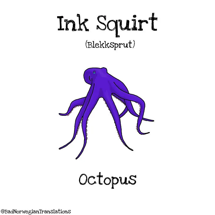 40 Brilliantly Literal Norwegian Words That Say Exactly What They Mean Illustrated By Me