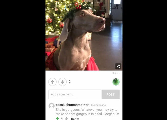 This Made My Day