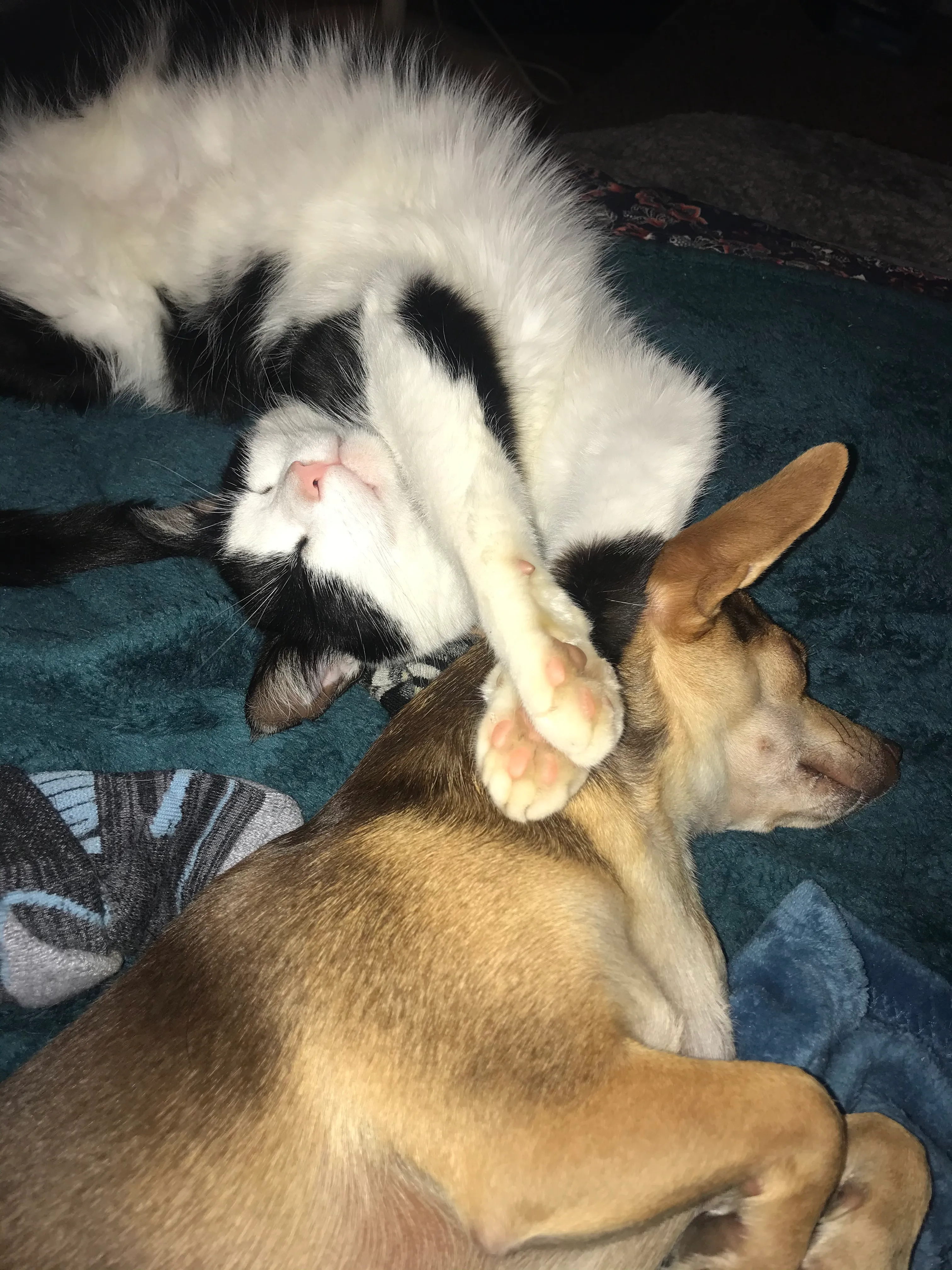 Best Friends