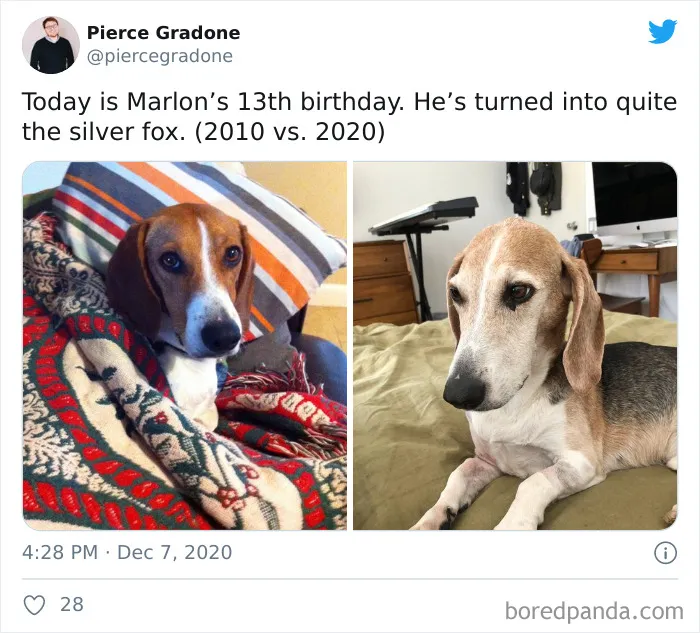 People Share Their Pics For The '2010 Vs. 2020' Challenge, Show What Time Can Do To A Person