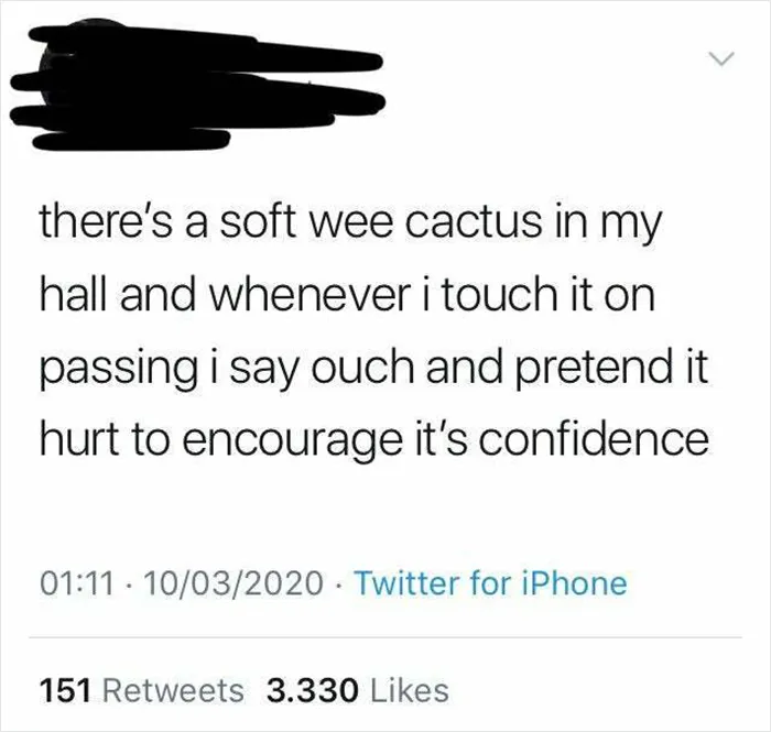 We All Need A Little Confidence Boost