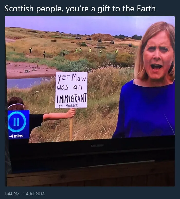 TV screen showing a reporter and a humorous protest sign with Scottish humor in the background.