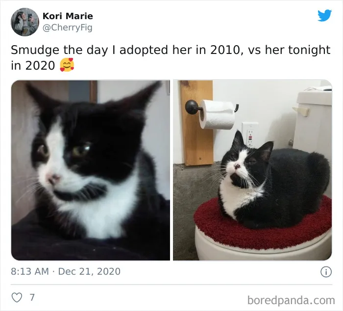 People Share Their Pics For The '2010 Vs. 2020' Challenge, Show What Time Can Do To A Person