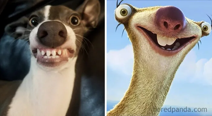 Sid