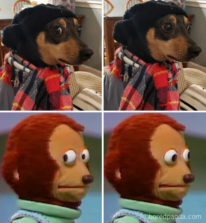 Look  Away