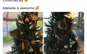 For Anyone Wondering What Christmas In Australia Is Really Like, These 30 Tweets Should Give You An Idea