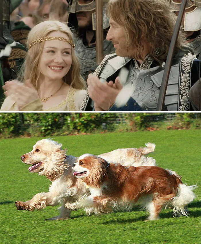Éowyn And Faramir
