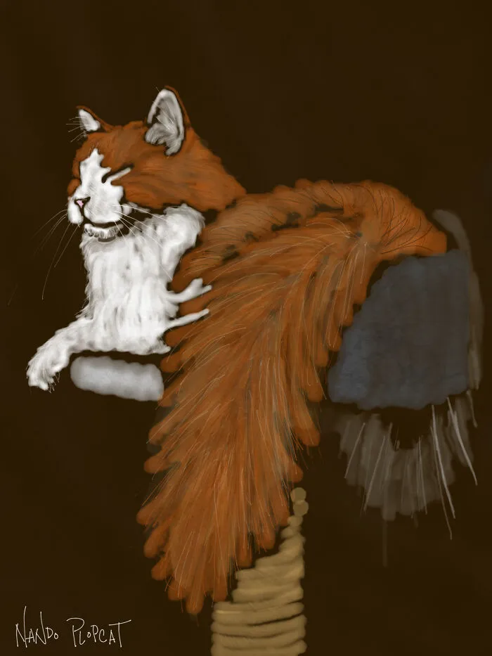 Nando Plopcat