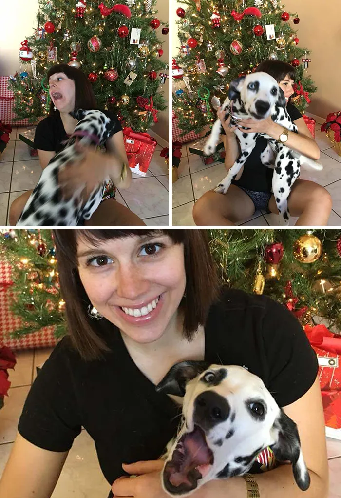 39 Christmas Pics That Were Supposed To Be Nice Until The Dog Showed Up