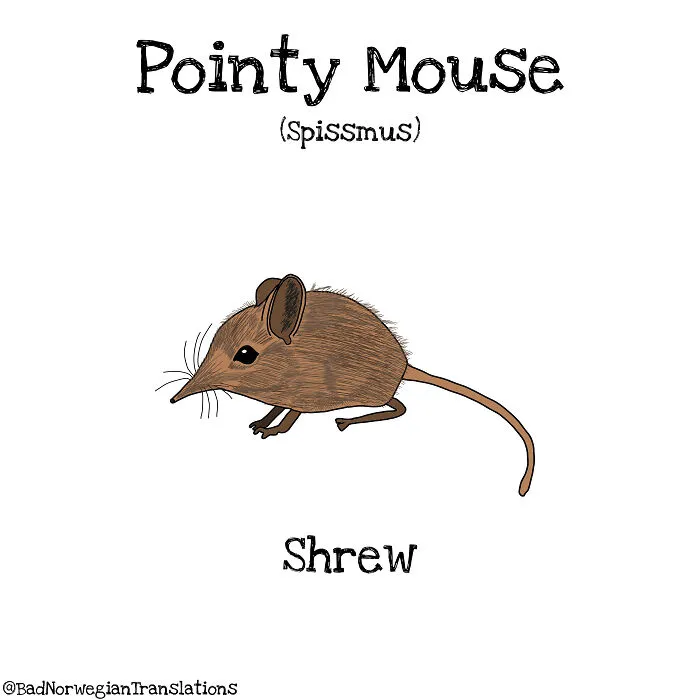 40 Brilliantly Literal Norwegian Words That Say Exactly What They Mean Illustrated By Me