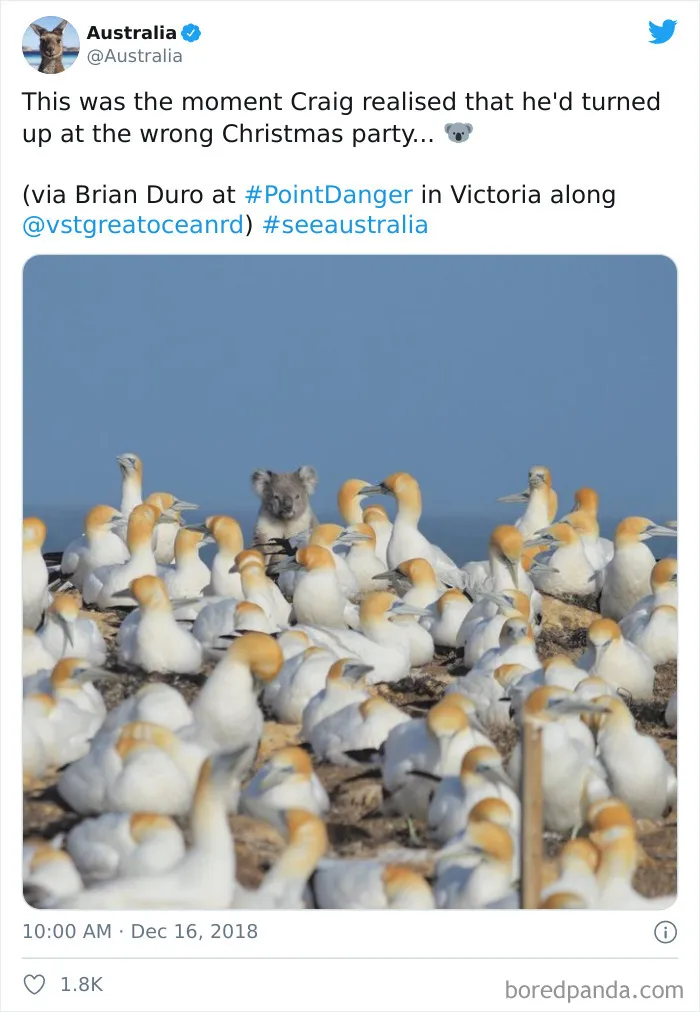 For Anyone Wondering What Christmas In Australia Is Really Like, These 30 Tweets Should Give You An Idea