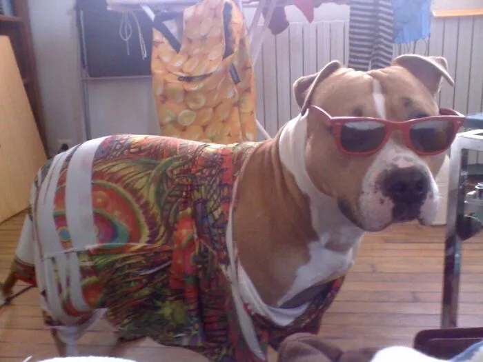 Not A Costume, That Was His Daily Outfit.