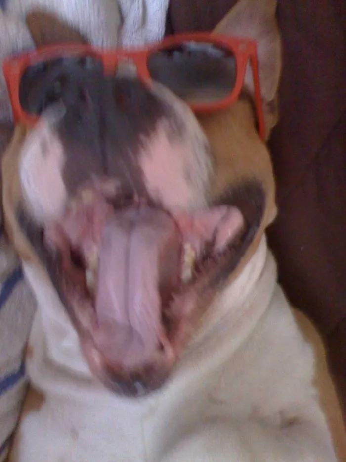 Pawline Dion