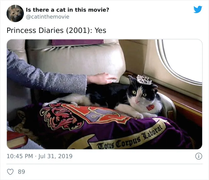 This Twitter Account Asks A Very Important Question: Is There A Cat In This Movie? (30 Pics)