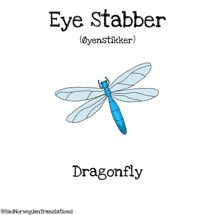 40 Brilliantly Literal Norwegian Words That Say Exactly What They Mean Illustrated By Me
