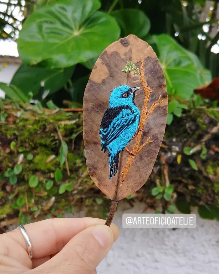 This Brazilian Artist Creates Unique Designs Of Embroidery On Fallen Leaves (109 Pics)