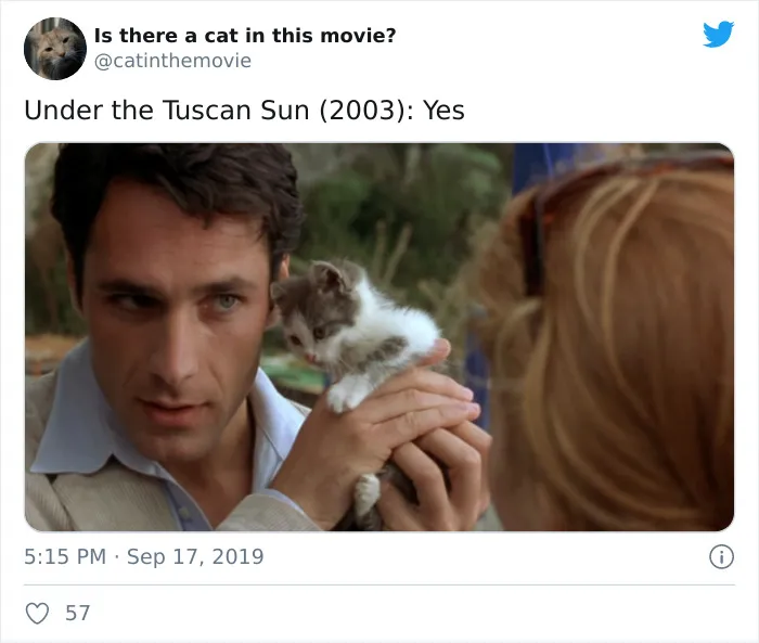 This Twitter Account Asks A Very Important Question: Is There A Cat In This Movie? (30 Pics)