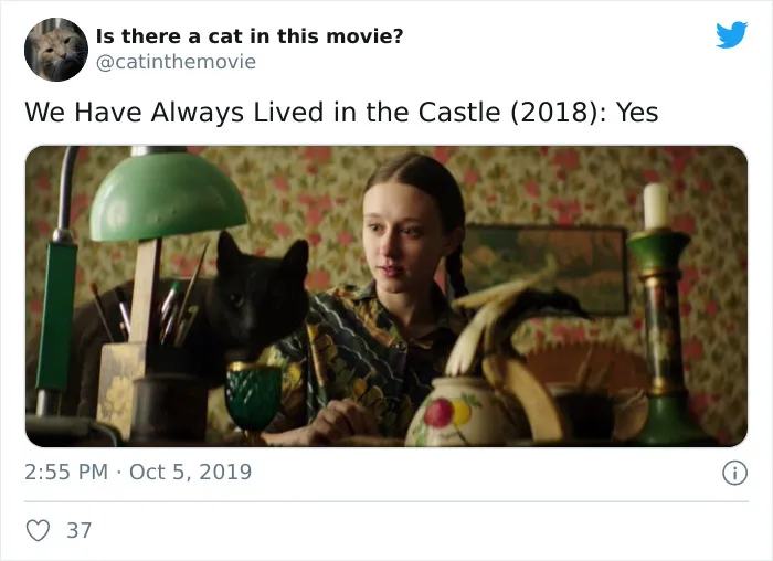 This Twitter Account Asks A Very Important Question: Is There A Cat In This Movie? (30 Pics)