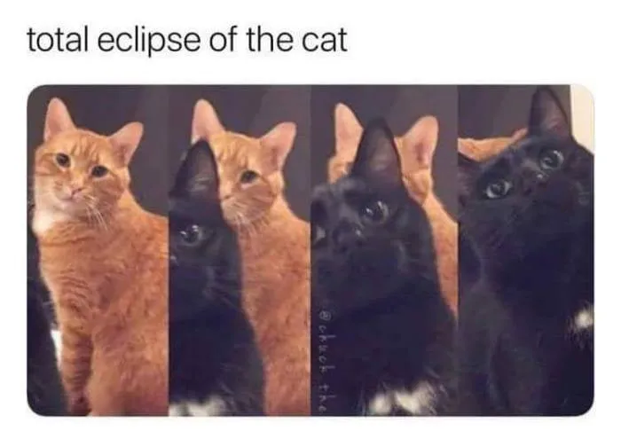 A Rare Event