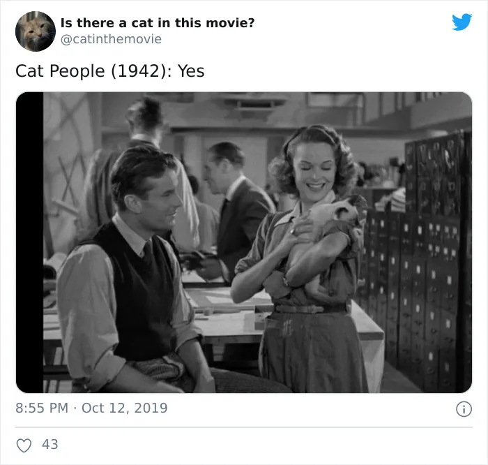 This Twitter Account Asks A Very Important Question: Is There A Cat In This Movie? (30 Pics)
