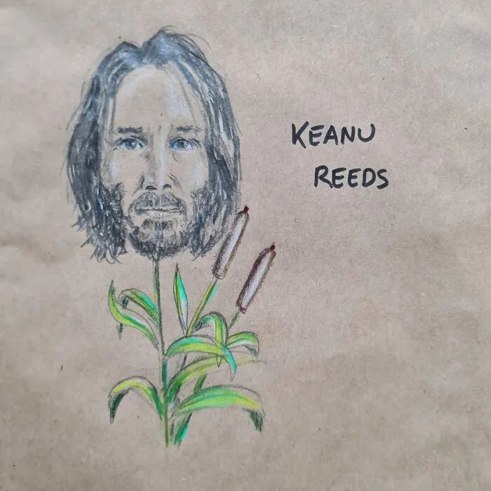 30 New Dad Jokes And Puns That I Drew On My Daughters’ Sandwich Bags This Year
