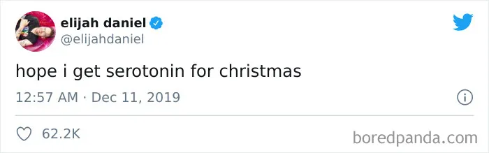 40 Hilarious Christmas Tweets