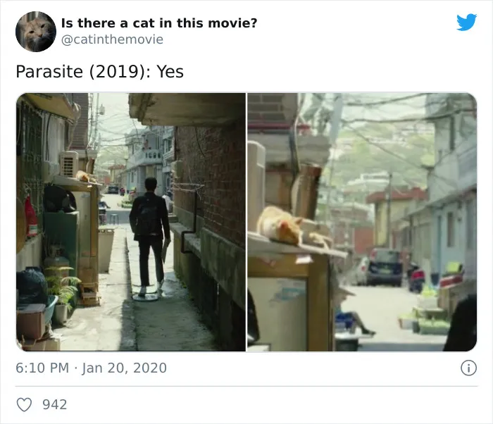This Twitter Account Asks A Very Important Question: Is There A Cat In This Movie? (30 Pics)