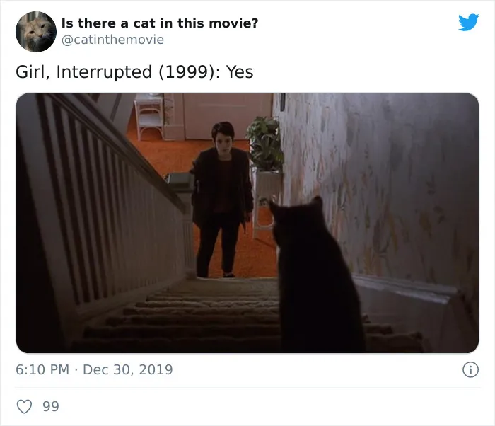 This Twitter Account Asks A Very Important Question: Is There A Cat In This Movie? (30 Pics)