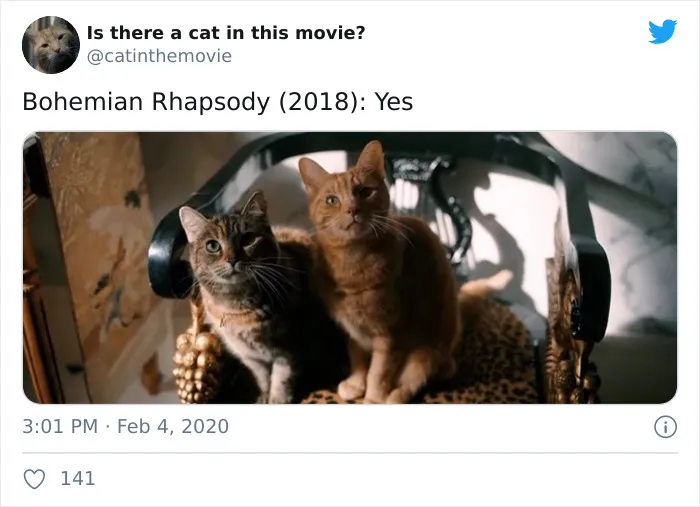 This Twitter Account Asks A Very Important Question: Is There A Cat In This Movie? (30 Pics)
