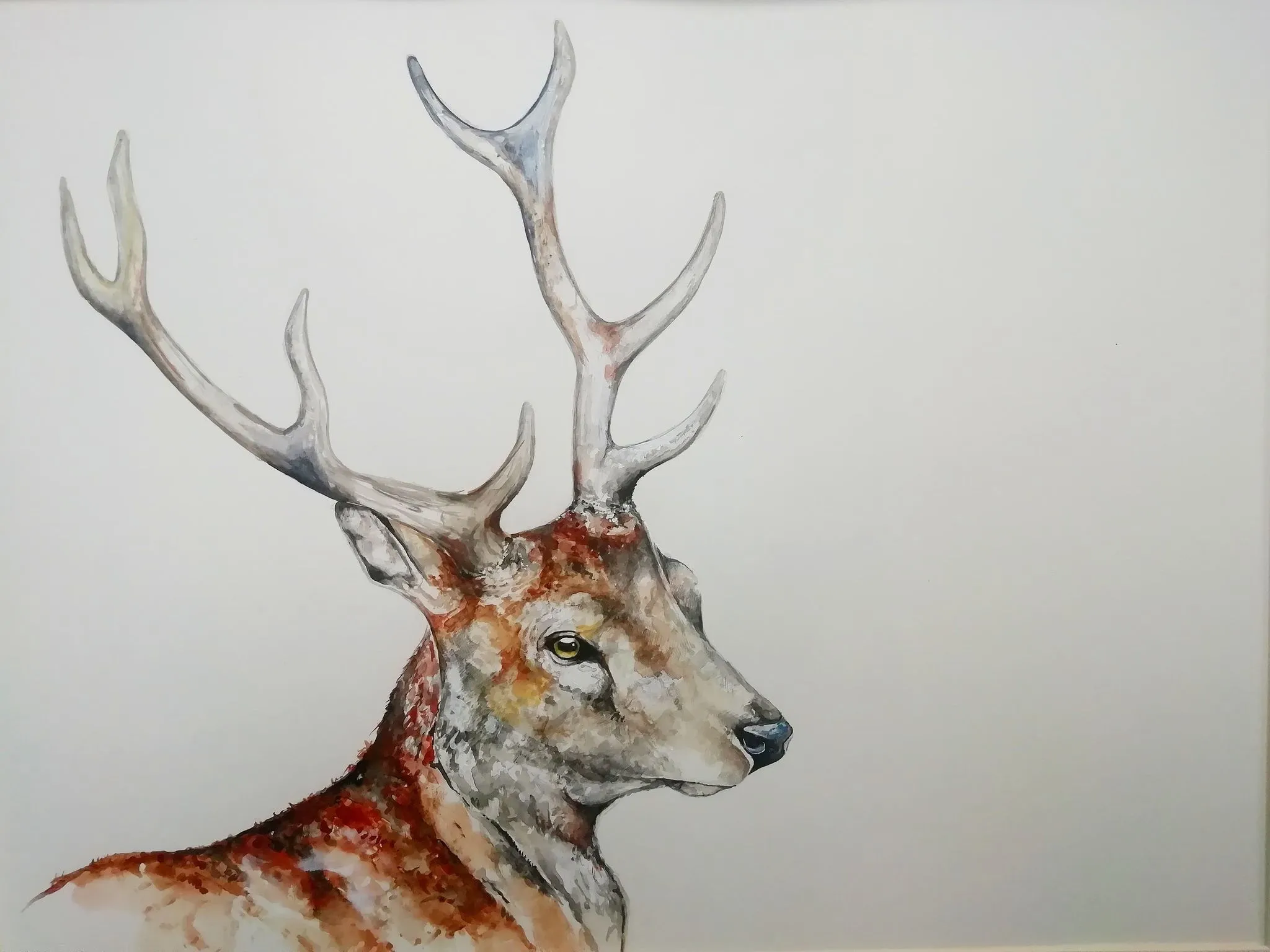 I Paint Animals In Quirky Yet Photographic Detail