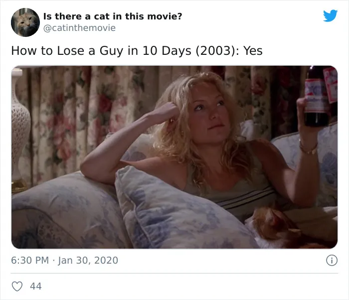 This Twitter Account Asks A Very Important Question: Is There A Cat In This Movie? (30 Pics)