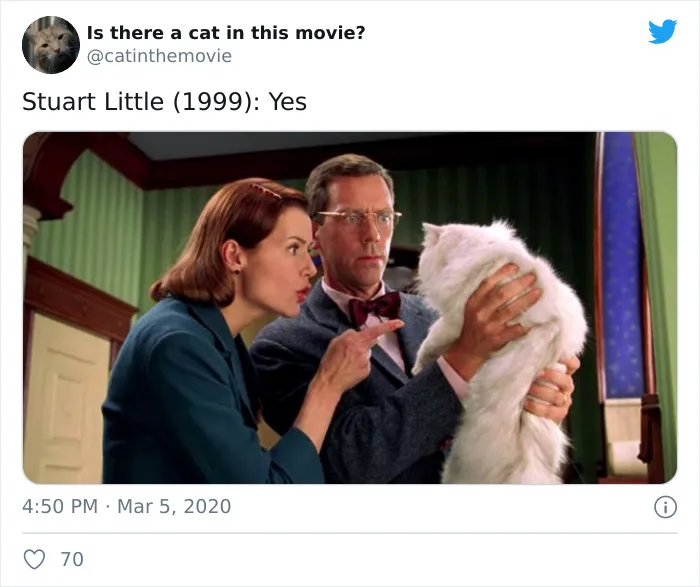 This Twitter Account Asks A Very Important Question: Is There A Cat In This Movie? (30 Pics)